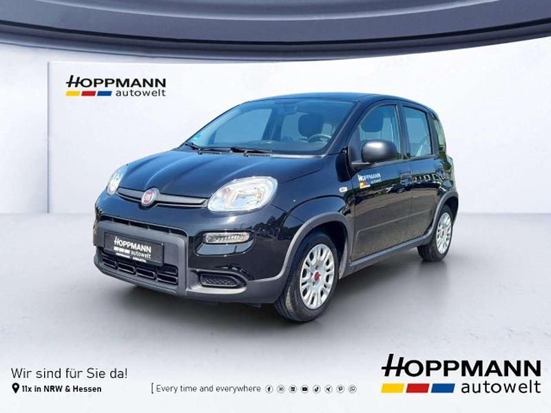 Schwarz Gebraucht 2024 Fiat Panda Kleinwagen | 11.990 € (Guter Preis) - Bild 1/4