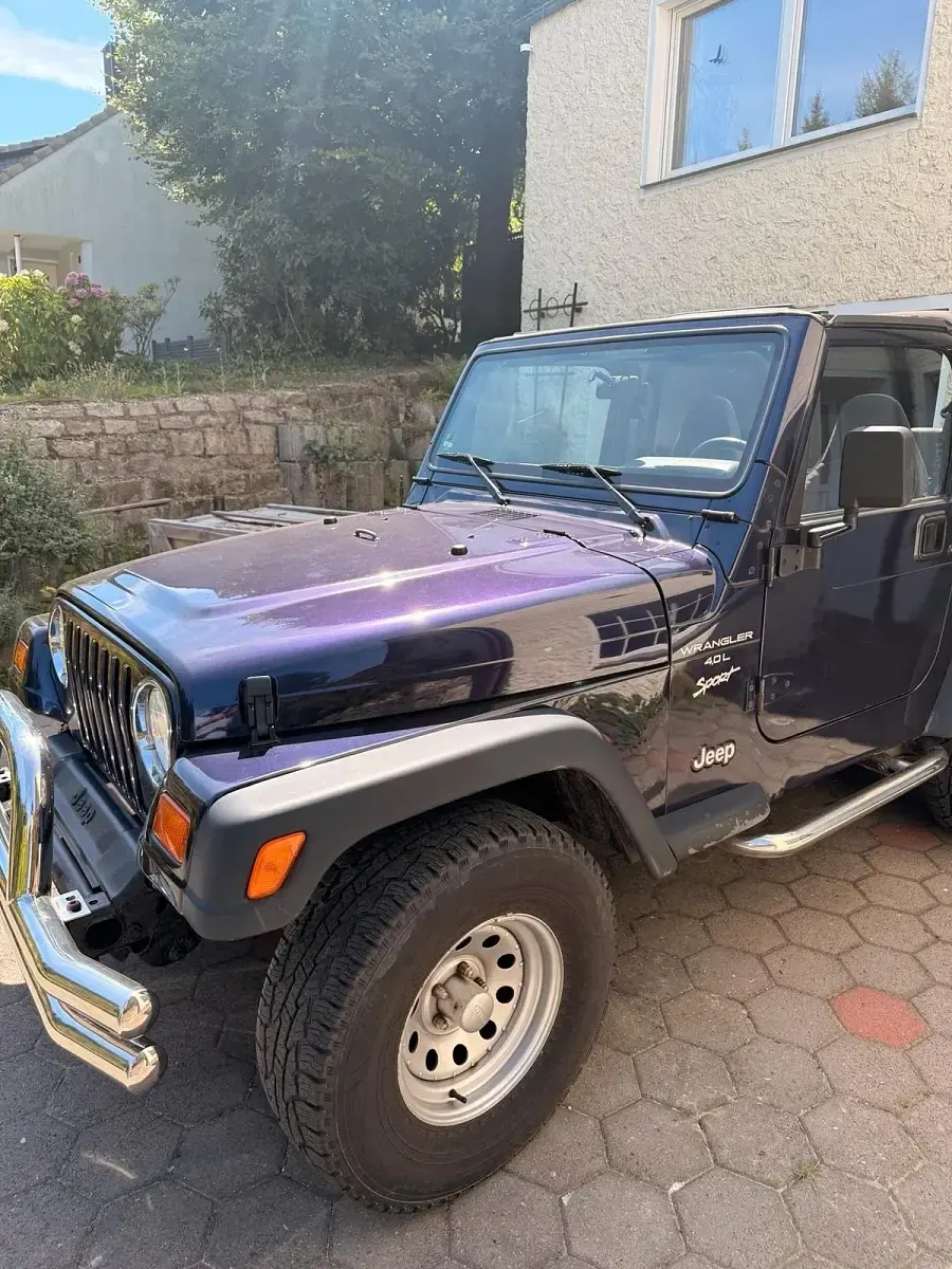Gebraucht Jeep Wrangler Sport 177 PS (130 kW) 1999 Violet SUV