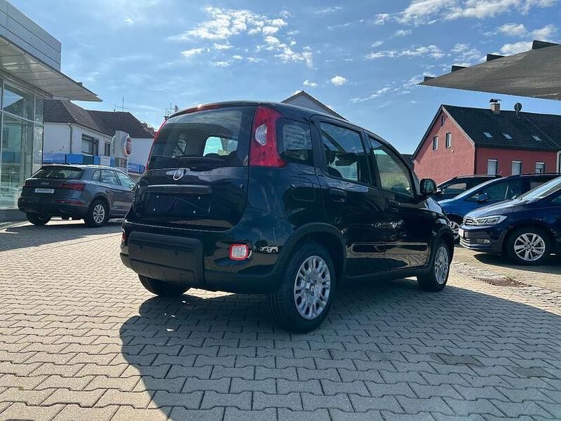 Gebraucht Fiat Panda 69 PS (50 kW) 2024 Cinema schwarz Kleinwagen