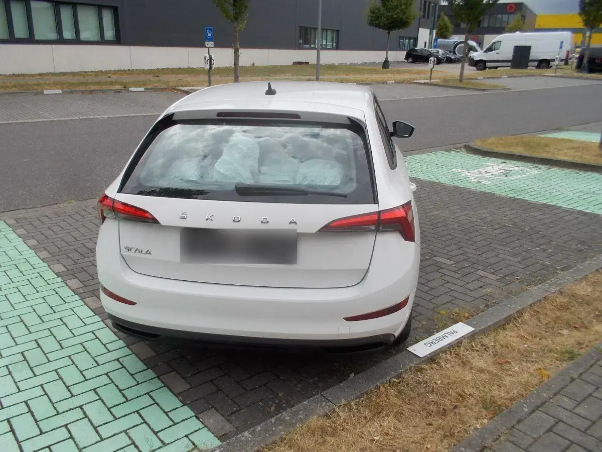 Gebraucht Skoda Scala 116 PS (85 kW) 2020 Weiß Kleinwagen