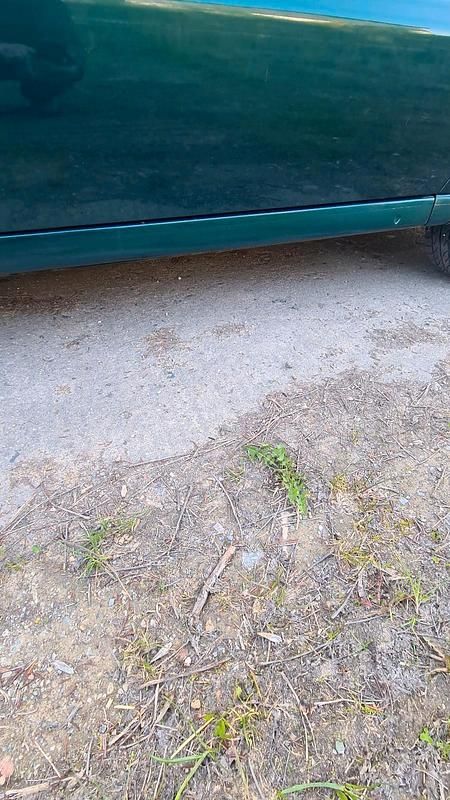 Second-hand VW Polo 65 CP (47 kW) 1996 Verde Hatchback