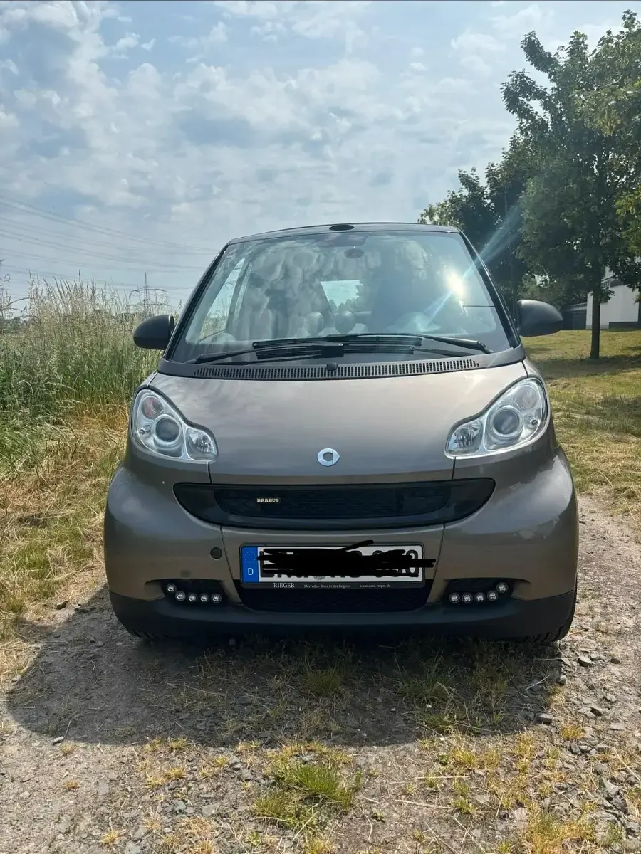 Gebraucht Smart ForTwo Cabrio Brabus 105 PS (77 kW) 2011 Grün Cabrio