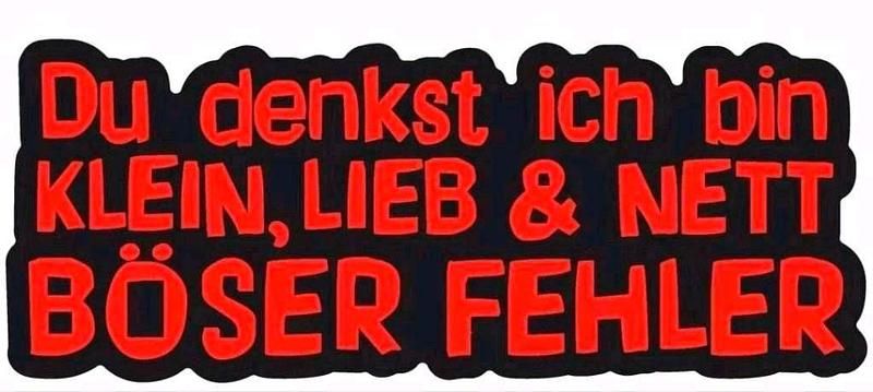 Gebraucht Ford Fiesta ST 170 PS (125 kW) 2007 Rot Kleinwagen