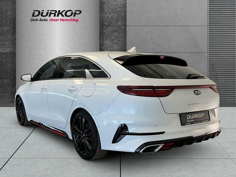 Gebraucht Kia ProCeed GT 204 PS (150 kW) 2019 (hw2) deluxeweiss met. (metallic) Kombi