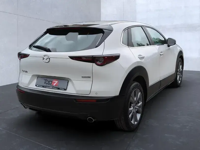 Gebraucht Mazda CX-30 Selection 122 PS (89 kW) 2023 Weiß SUV