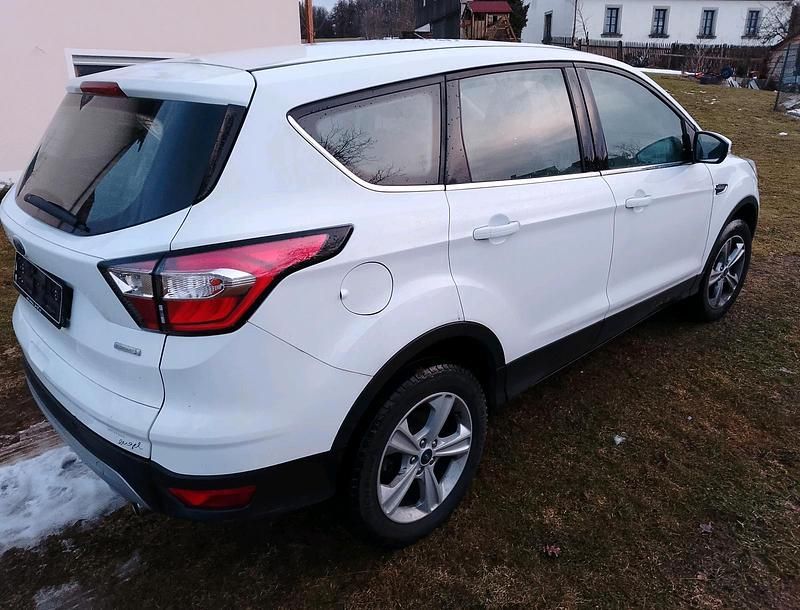 Gebraucht Ford Kuga 120 PS (88 kW) 2019 Weiß SUV