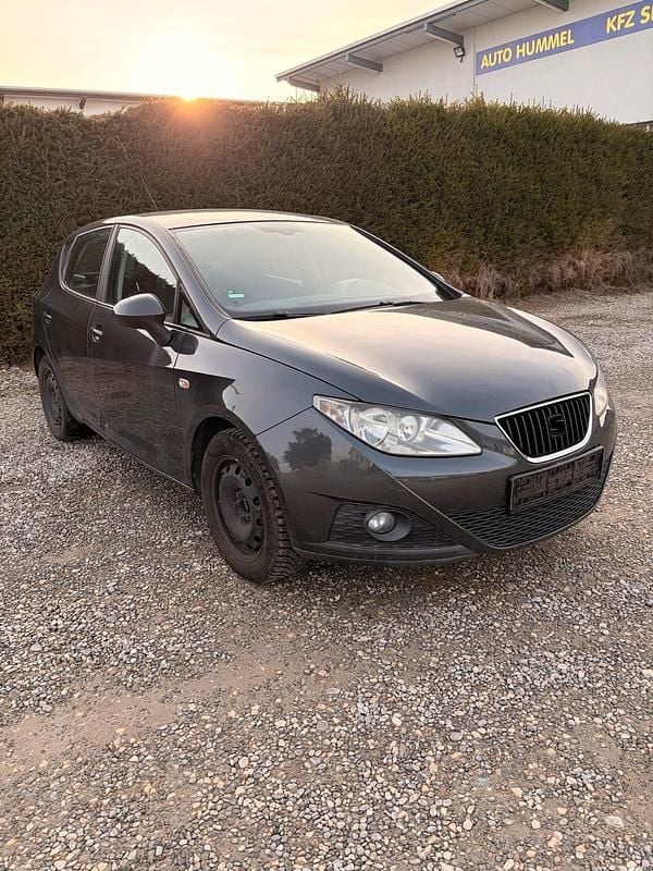 Gebraucht Seat Ibiza Stylance 86 PS (63 kW) 2010 Grau Kleinwagen