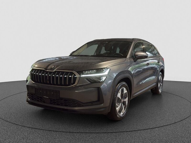 Grau Gebraucht 2024 Skoda Kodiaq Selection SUV | 49.390 € - Bild 1/4