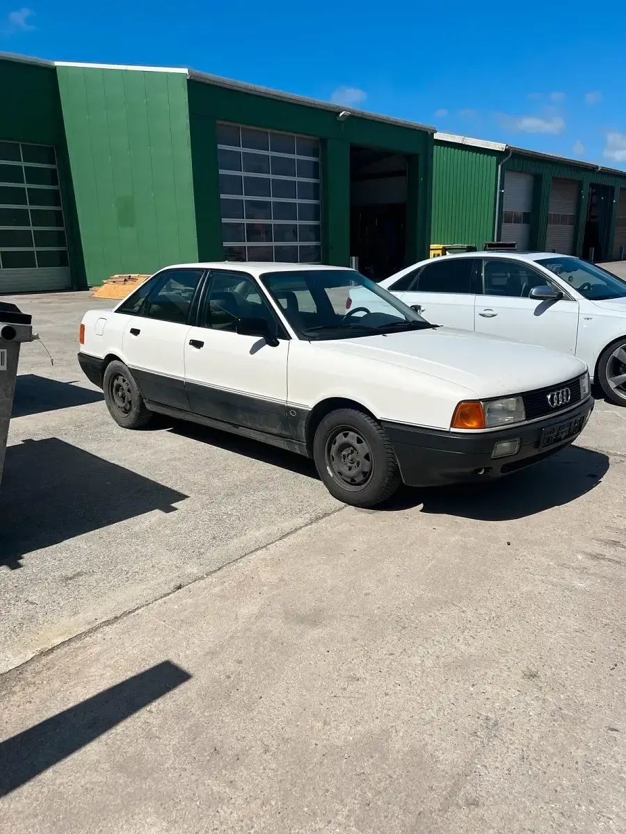 Gebraucht Audi 80 131 PS (96 kW) 1989 Weiß Limousine