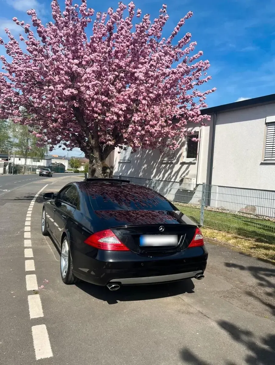 Gebraucht Mercedes CLS500 AMG 388 PS (285 kW) 2009 Schwarz Coupé