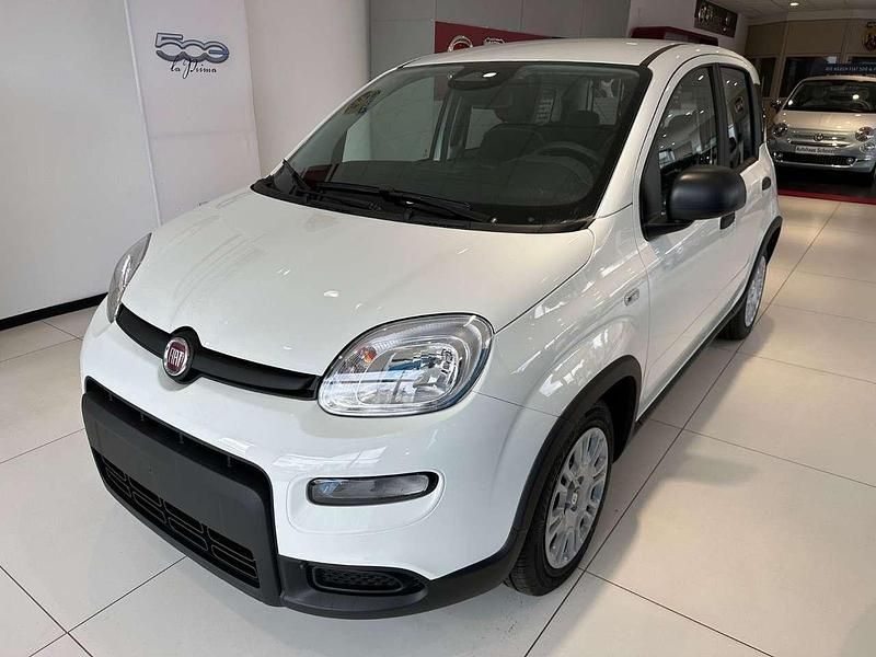 Neu Fiat Panda 69 PS (50 kW) 2025 Weiß Kleinwagen