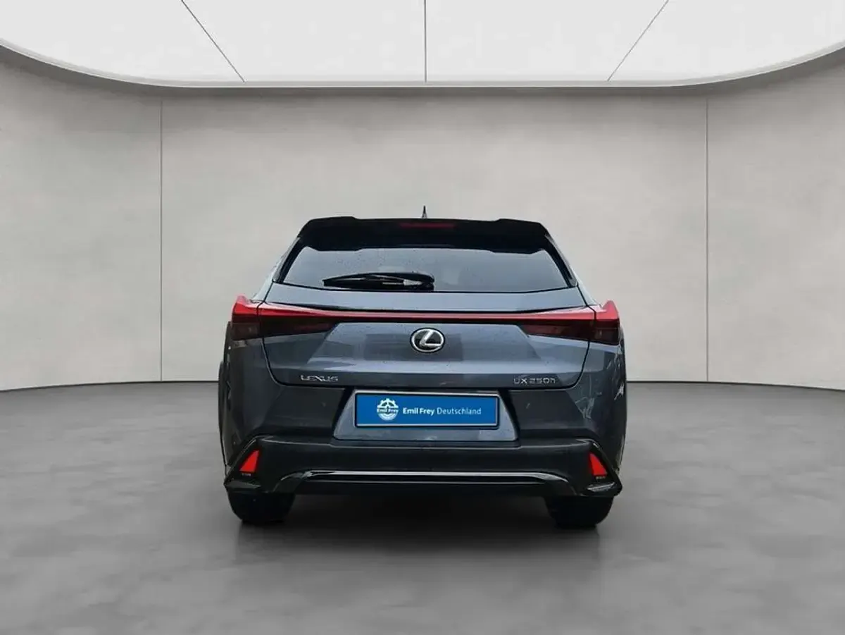 Gebraucht Lexus UX 250h Sport Design Packet 189 PS (139 kW) 2023 Grau SUV