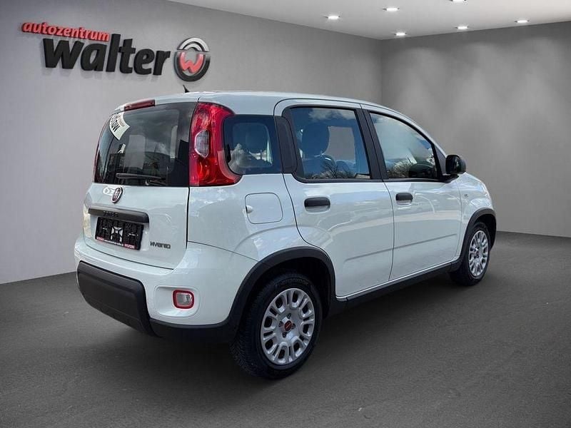Gebraucht Fiat Panda 69 PS (50 kW) 2024 Weiß Kleinwagen