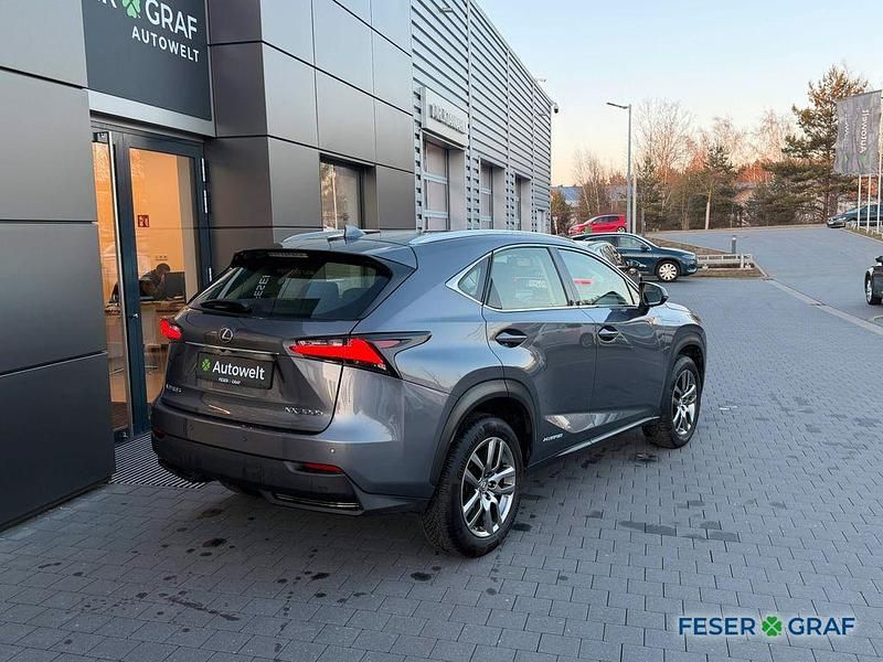 Gebraucht Lexus NX200t 238 PS (175 kW) 2016 Grau SUV