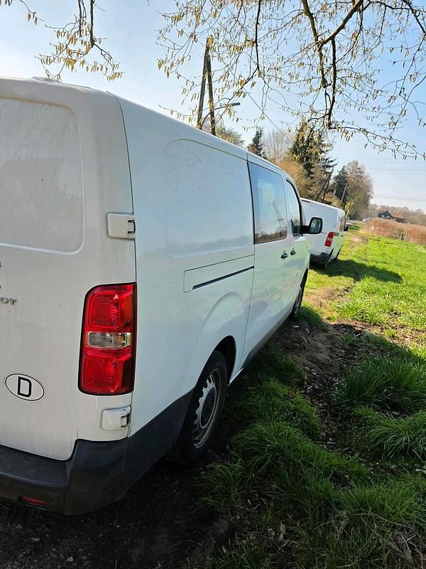 Gebraucht Peugeot Expert 122 PS (89 kW) 2020 Weiß Van