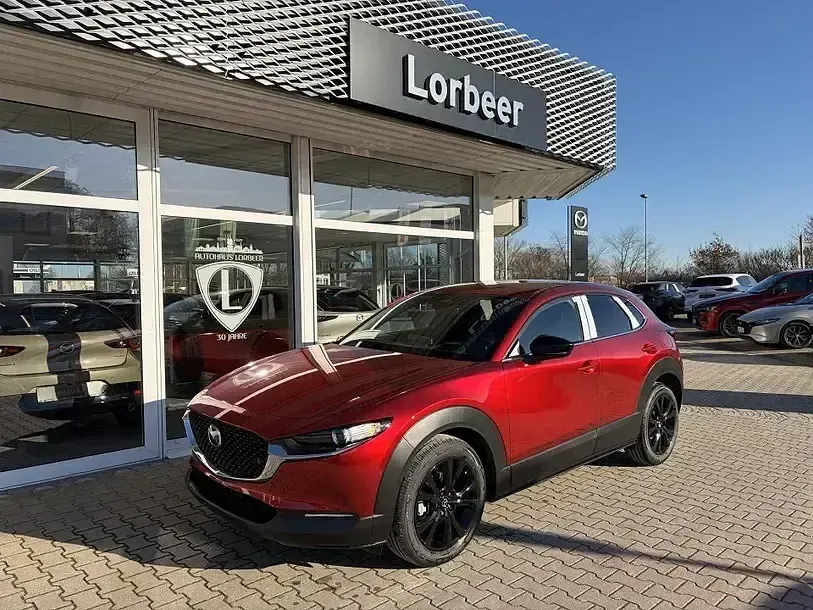Neu Mazda CX-30 Homura-Line 140 PS (102 kW) 2026 Rot SUV