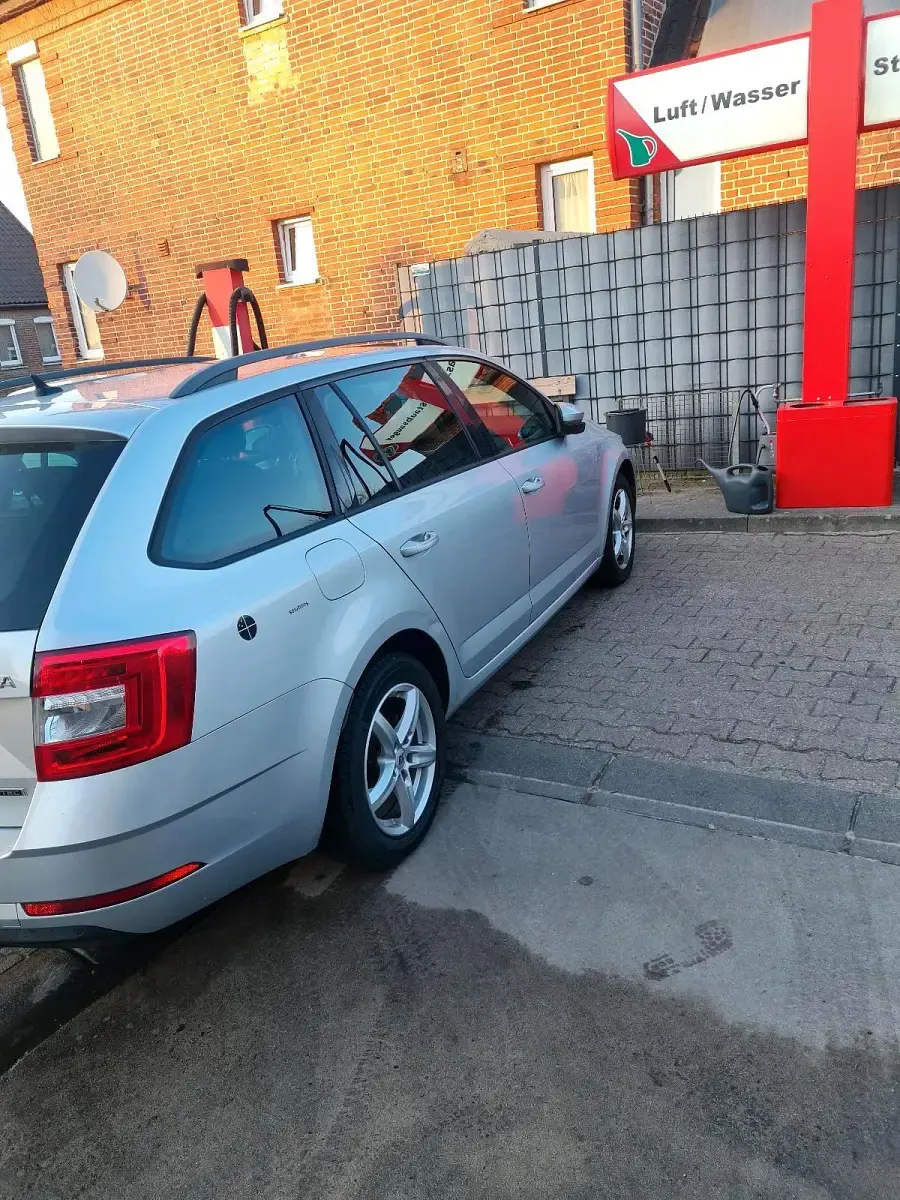 Gebraucht Skoda Octavia 110 PS (80 kW) 2017 Grau Kombi