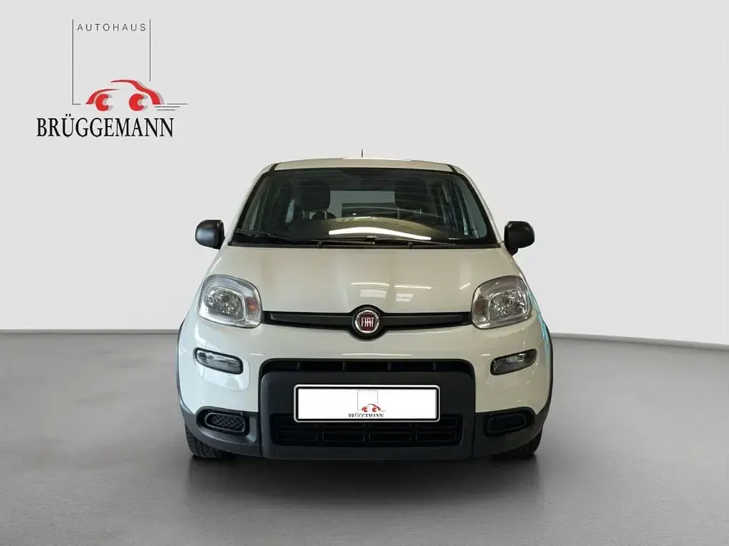 Gebraucht Fiat Panda Tech 69 PS (50 kW) 2023 Weiß Kleinwagen