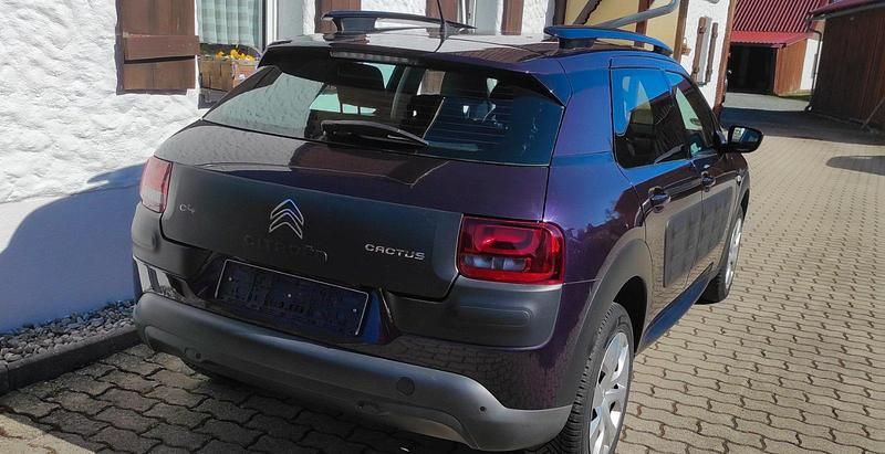 Gebraucht Citroën C4 Feel 110 PS (80 kW) 2015 Violet SUV