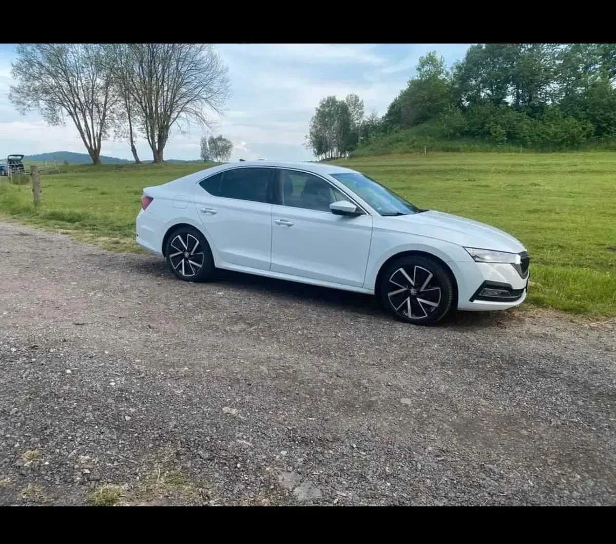 Gebraucht Skoda Octavia Style 150 PS (110 kW) 2021 Weiß Limousine