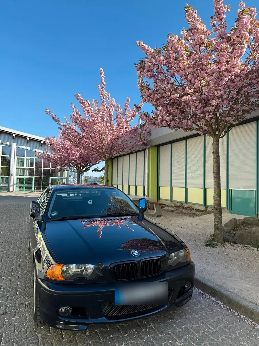 Gebraucht BMW 320 Sport Line 170 PS (125 kW) 2000 Blau Coupé