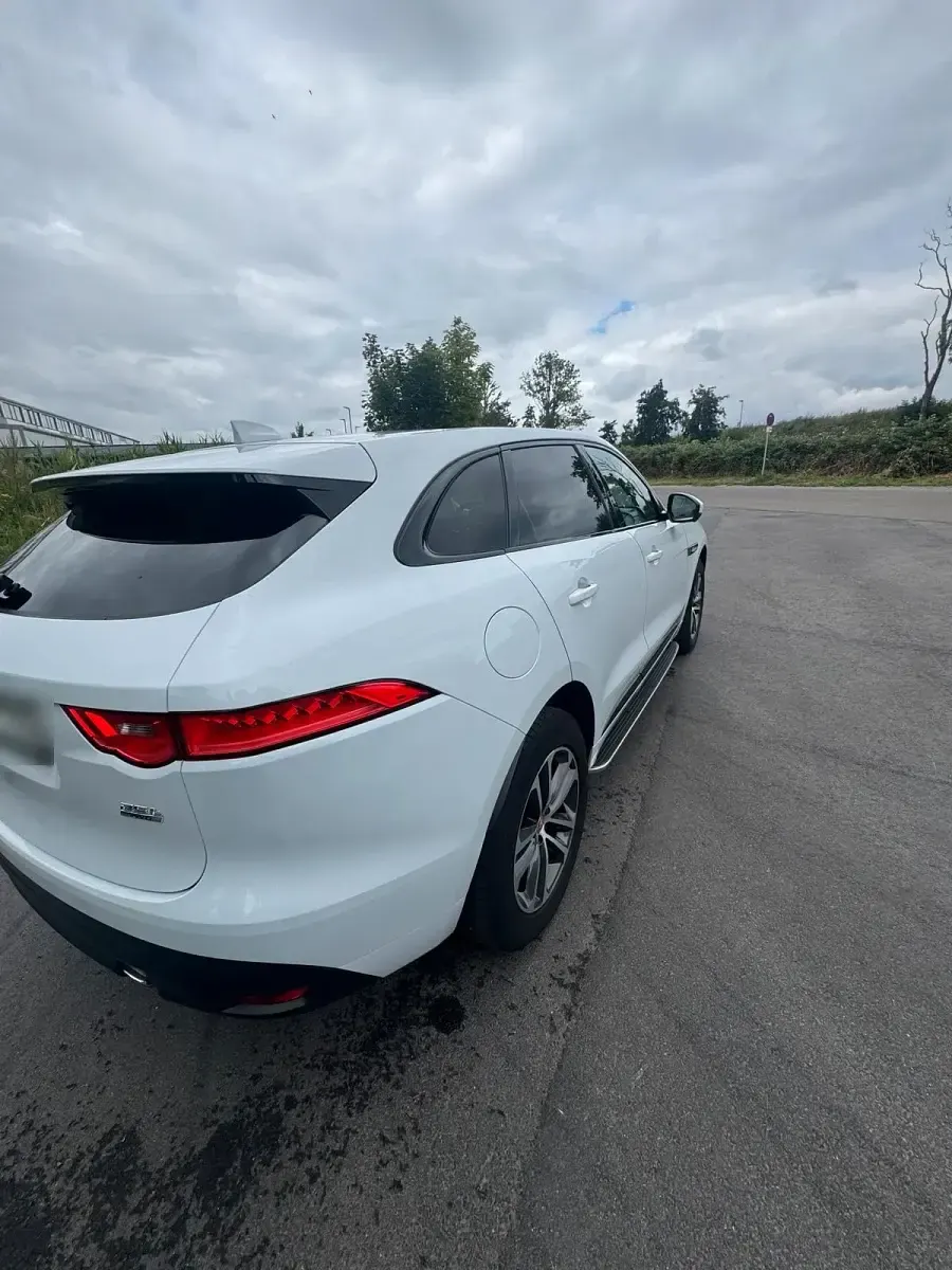 Gebraucht Jaguar F-Pace R-Sport 250 PS (183 kW) 2019 Weiß SUV
