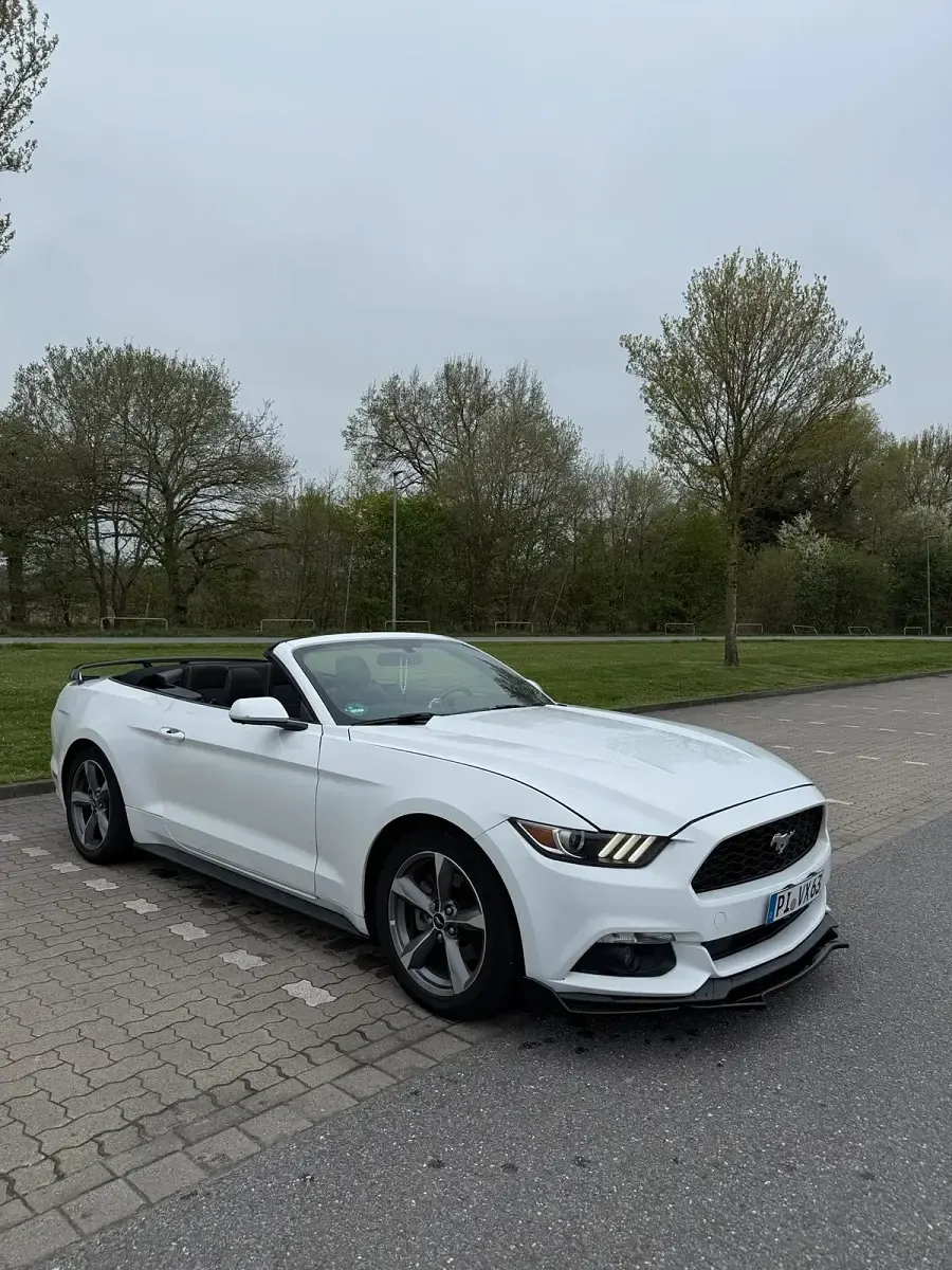 Gebraucht Ford Mustang 306 PS (225 kW) 2016 Weiß Cabrio