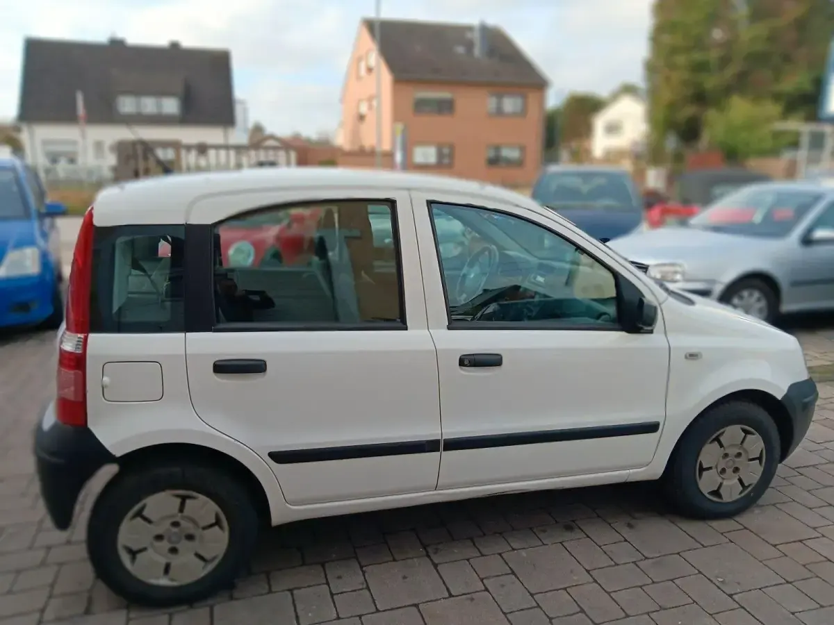 Gebraucht Fiat Panda Active 54 PS (39 kW) 2009 Weiß Kleinwagen