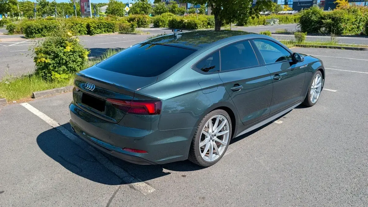 Gebraucht Audi A5 Sportback S-Line 190 PS (139 kW) 2019 Grün Kleinwagen