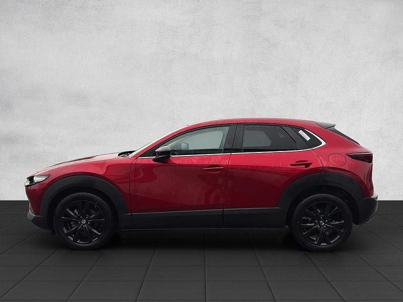 Gebraucht Mazda CX-30 Nagisa 140 PS (102 kW) 2025 SUV