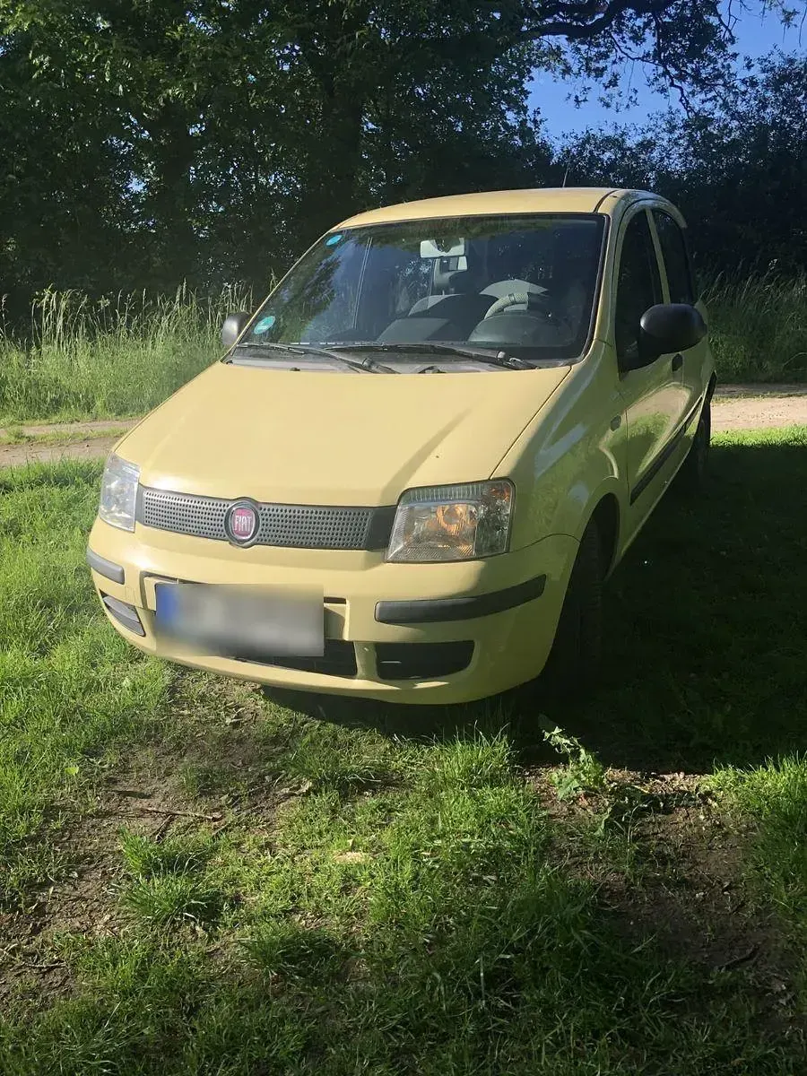 Gebraucht Fiat Panda 69 PS (50 kW) 2012 Gelb Kleinwagen