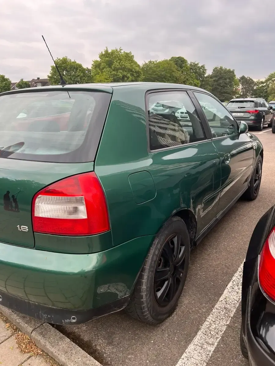 Brugt Audi A3 102 HK (75 kW) 2002 Grøn Hatchback