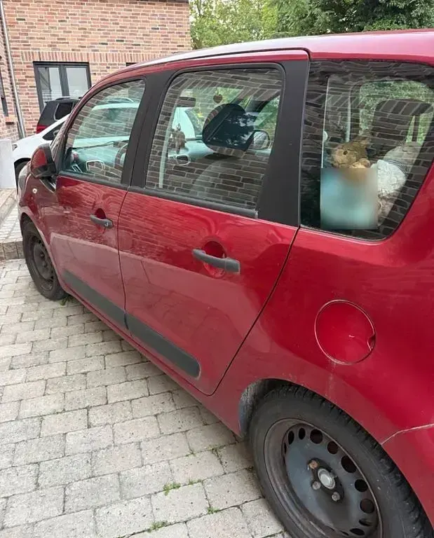 Gebraucht Citroën C3 Picasso Exclusive 95 PS (69 kW) 2010 Rot Van / Kleinbus