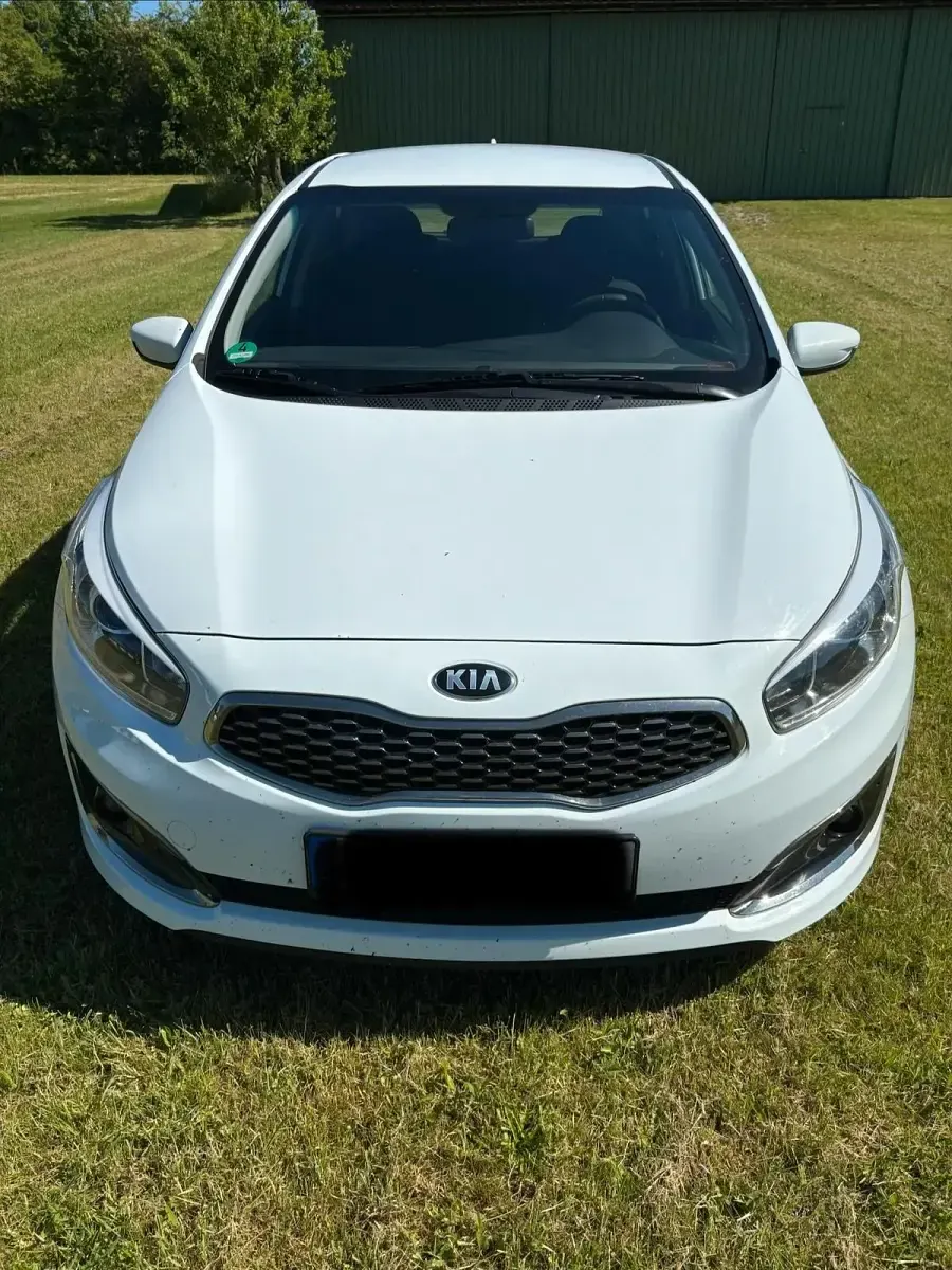 Gebraucht Kia Ceed GT 101 PS (74 kW) 2016 Weiß Kleinwagen