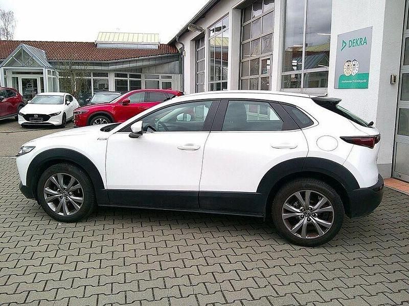 Gebraucht Mazda CX-30 Selection 150 PS (110 kW) 2023 Weiss SUV