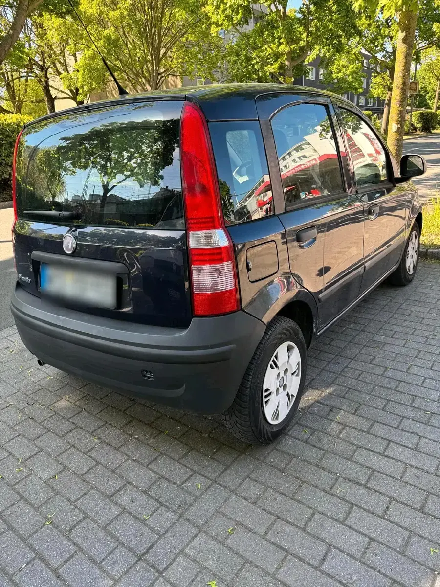Usata Fiat Panda 2009 Nero Utilitaria