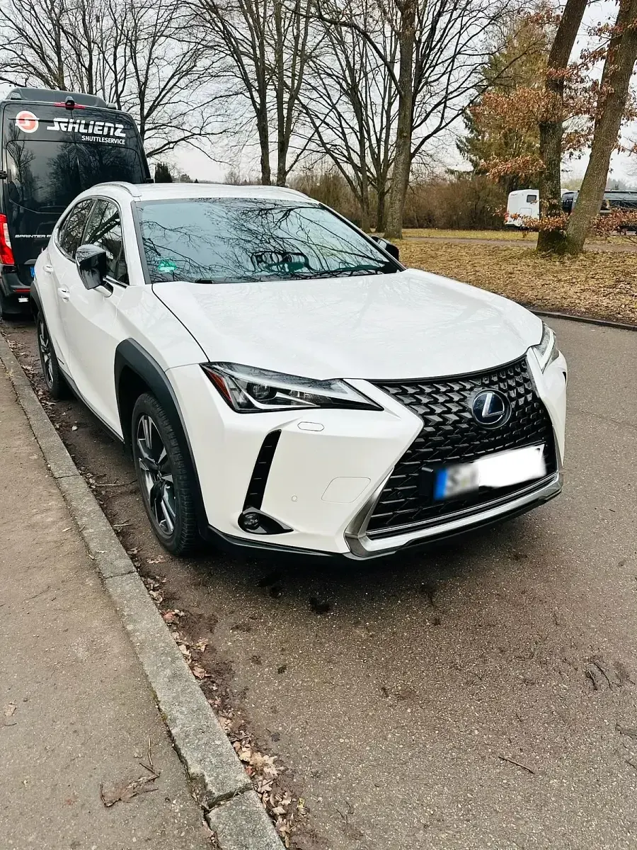 Gebraucht Lexus UX 250h 184 PS (135 kW) 2021 Weiß SUV