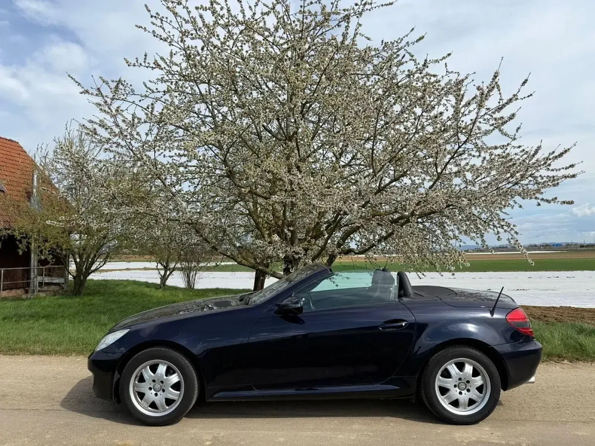 Gebraucht Mercedes SLK200 184 PS (135 kW) 2008 Schwarz Cabrio