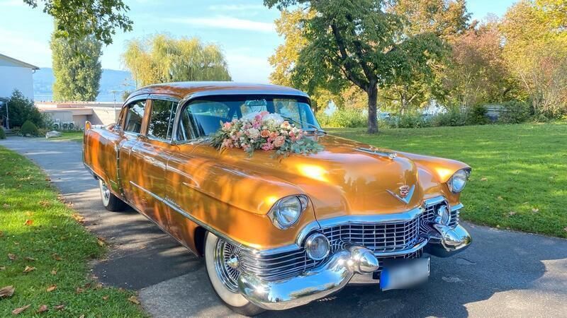 Gold Gebraucht 1954 Cadillac Fleetwood Limousine | 72.999 € - Bild 1/4