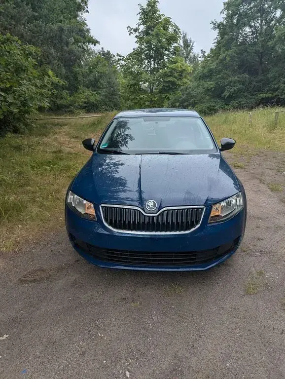 Gebraucht Skoda Octavia Active 86 PS (63 kW) 2014 Blau Kombi