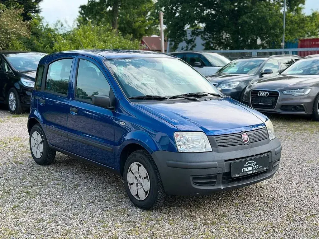 Gebraucht Fiat Panda Active 54 PS (39 kW) 2009 Blau Kleinwagen