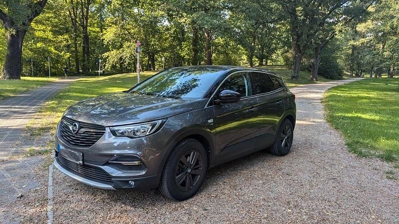 Gebraucht Opel Grandland X 131 PS (96 kW) 2019 Grau SUV