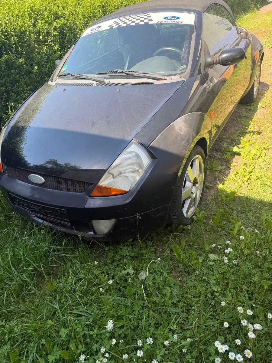 Gebraucht Ford StreetKa 95 PS (69 kW) 2003 Schwarz Cabrio