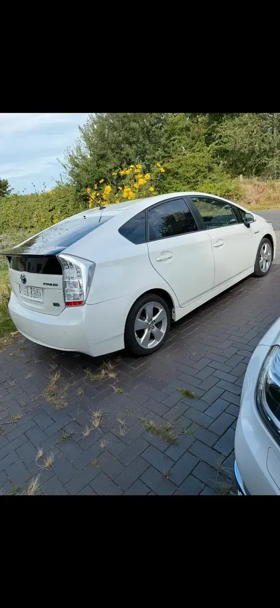Gebraucht Toyota Prius 136 PS (100 kW) 2010 Weiß Kleinwagen