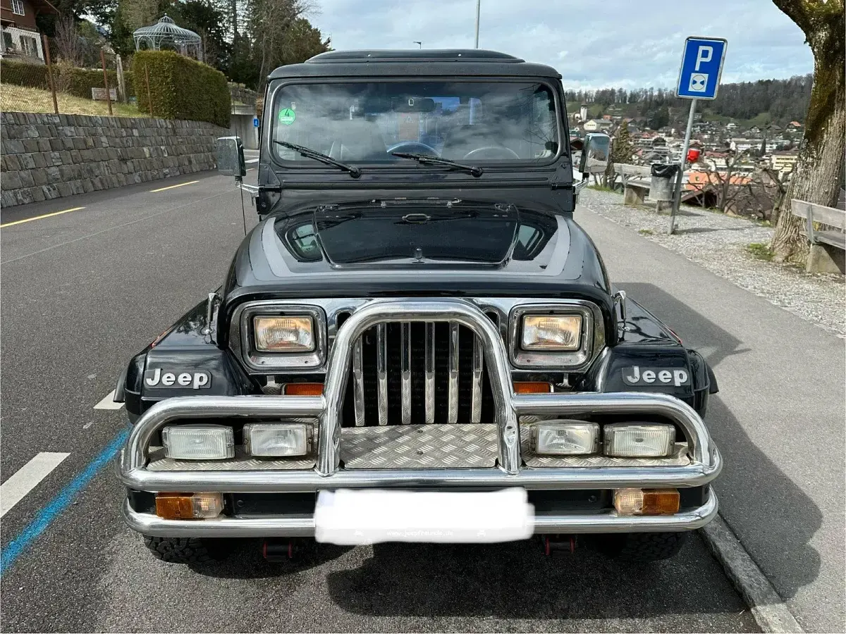 Gebraucht Jeep Wrangler 178 PS (130 kW) 1992 Schwarz SUV