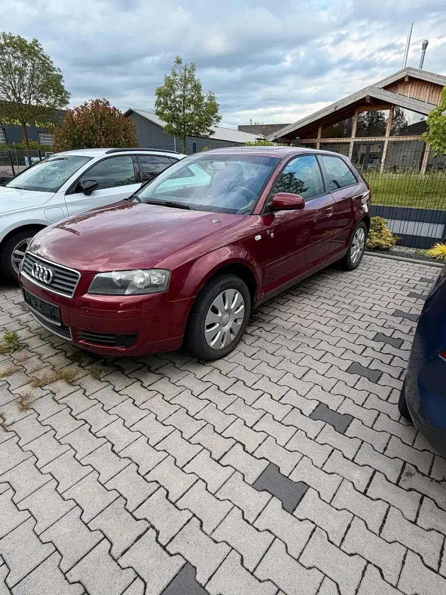 Gebraucht Audi A3 105 PS (77 kW) 2005 Rot Kleinwagen