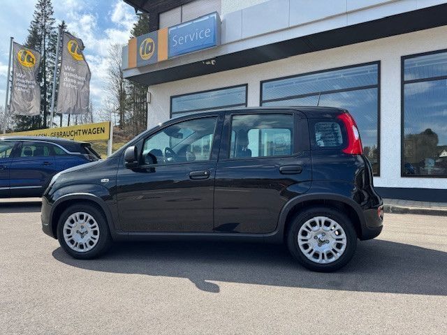 Schwarz Neu 2025 Fiat Panda Kleinwagen | 15.390 € - Bild 1/4