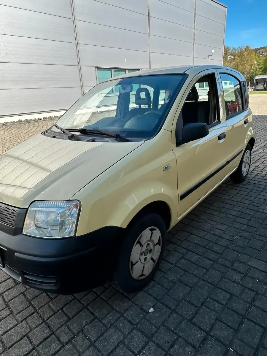 Gebraucht Fiat Panda 54 PS (39 kW) 2009 Gelb Kleinwagen