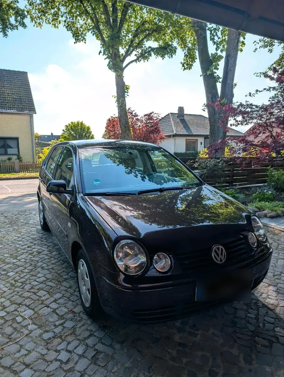 Gebraucht VW Polo 75 PS (55 kW) 2002 Violet Kleinwagen