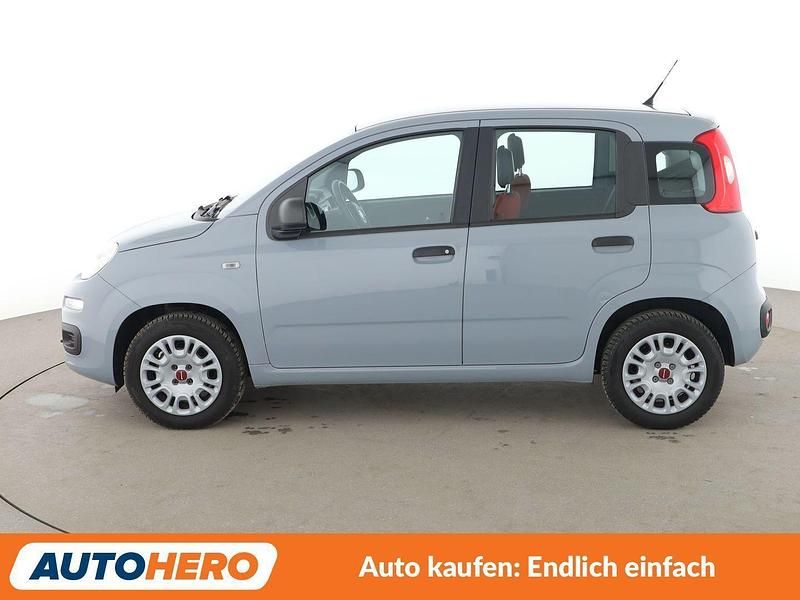 Gebraucht Fiat Panda Easy 69 PS (50 kW) 2019 Grau Kleinwagen
